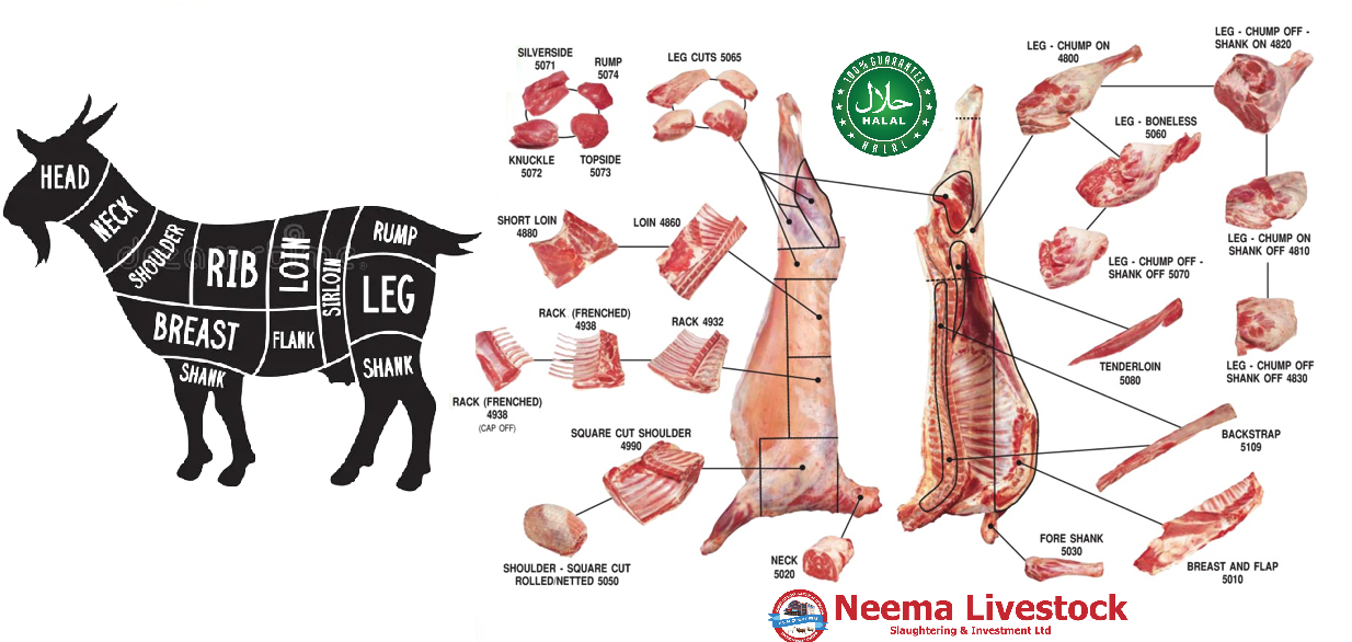 Neema Goat Cuts