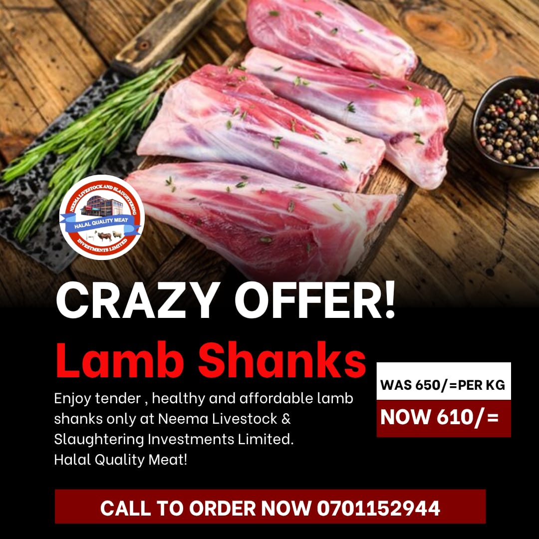Lamb Shanks