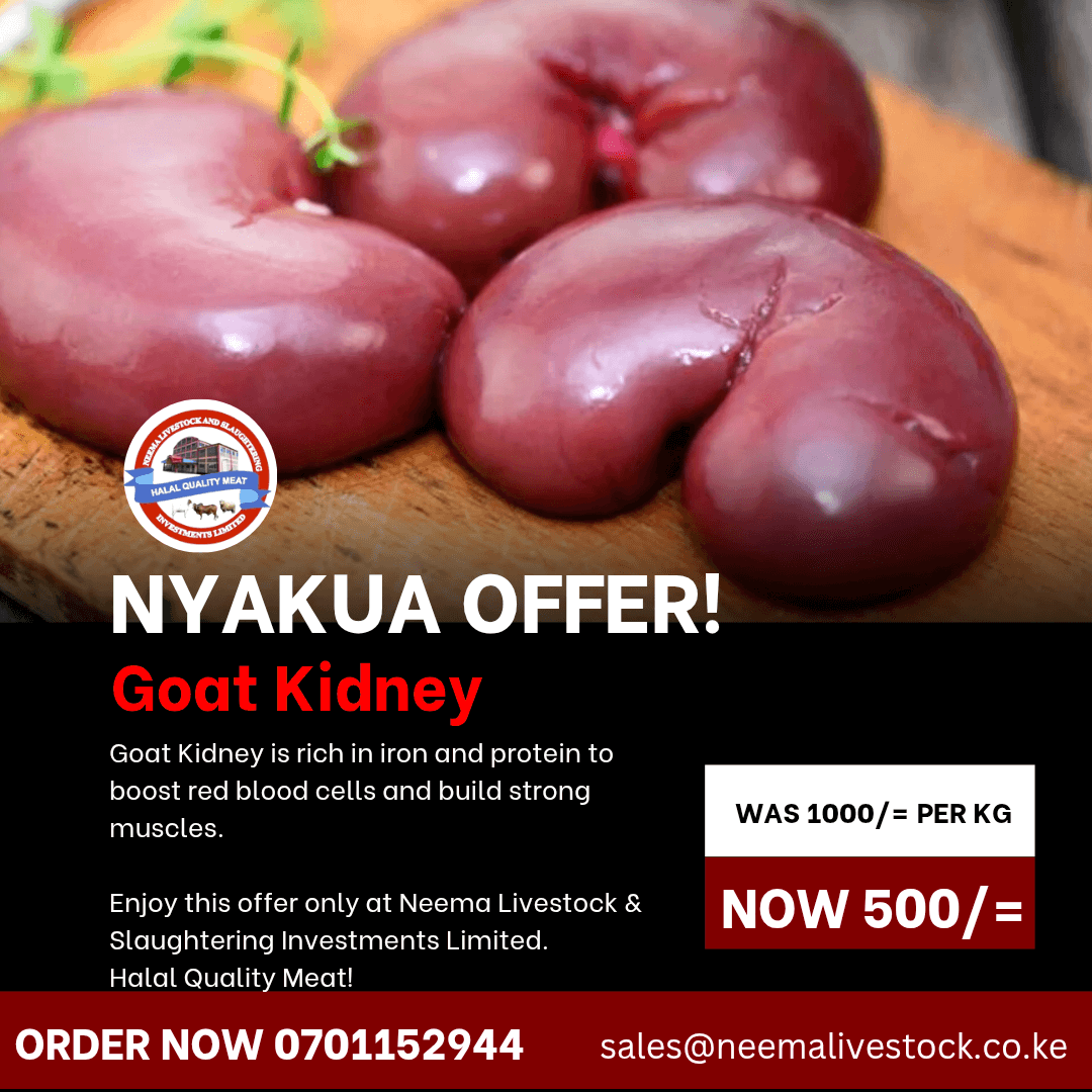 Goat Kidney