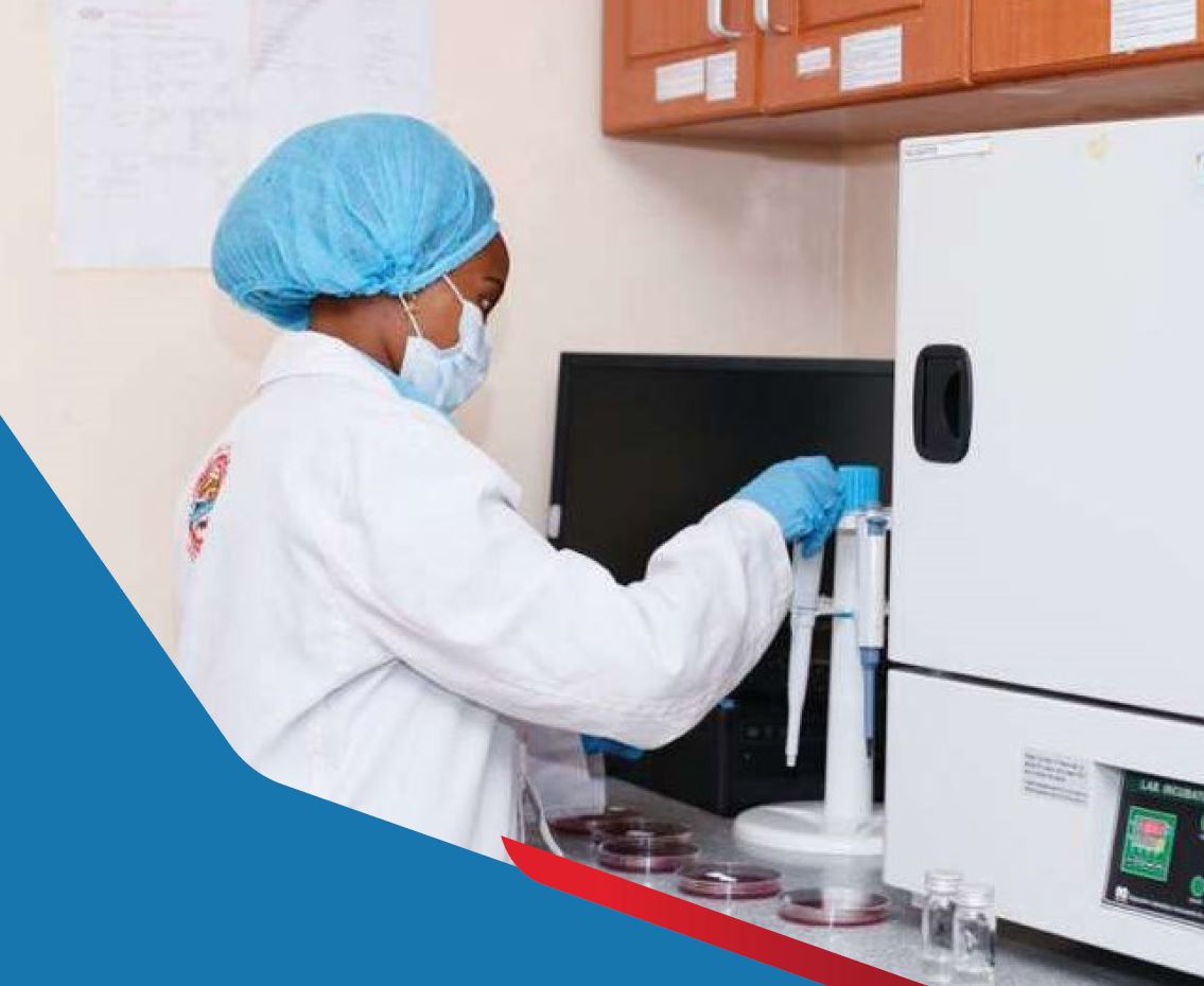 The Importance of Hygiene and Quality Standards in Meat Processing: NL&SIC's Approach